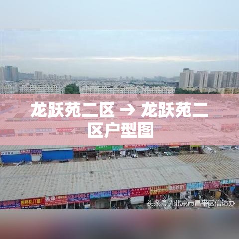 龙跃苑二区 → 龙跃苑二区户型图