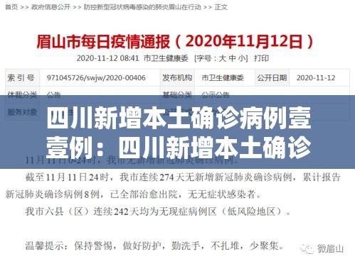 四川新增本土确诊病例壹壹例：四川新增本土确诊病例壹壹例是哪里的