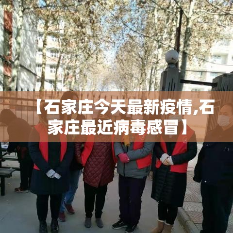 【石家庄今天最新疫情,石家庄最近病毒感冒】