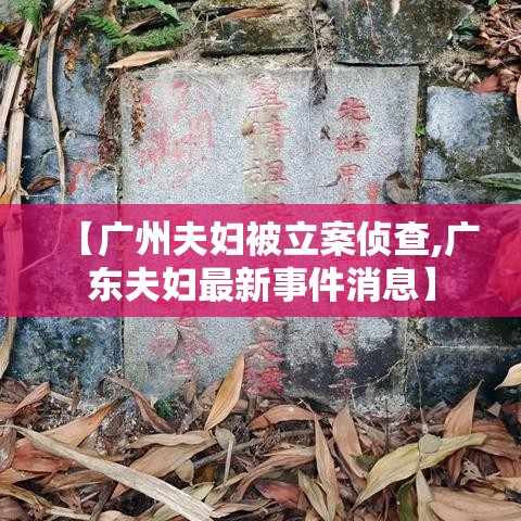 【广州夫妇被立案侦查,广东夫妇最新事件消息】