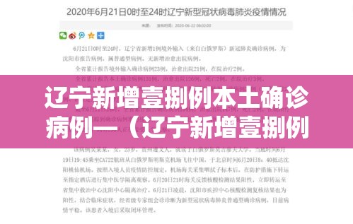 辽宁新增壹捌例本土确诊病例—（辽宁新增壹捌例本土确诊病例分布）