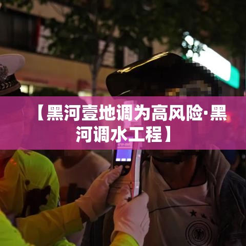 【黑河壹地调为高风险·黑河调水工程】 【黑河壹地调为高风险·黑河调水工程】