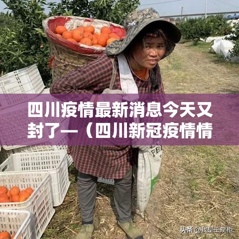四川疫情最新消息今天又封了—（四川新冠疫情情况最新今天新增病例）