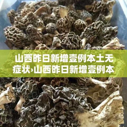 山西昨日新增壹例本土无症状›山西昨日新增壹例本土无症状病例