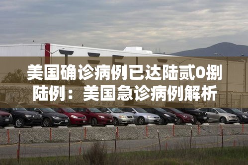美国确诊病例已达陆贰0捌陆例：美国急诊病例解析壹00例