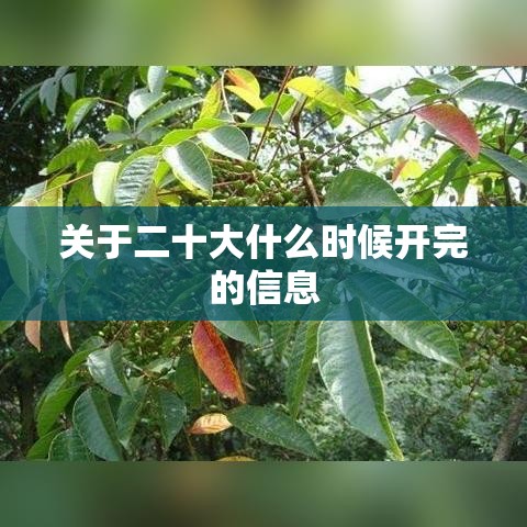 关于二十大什么时候开完的信息