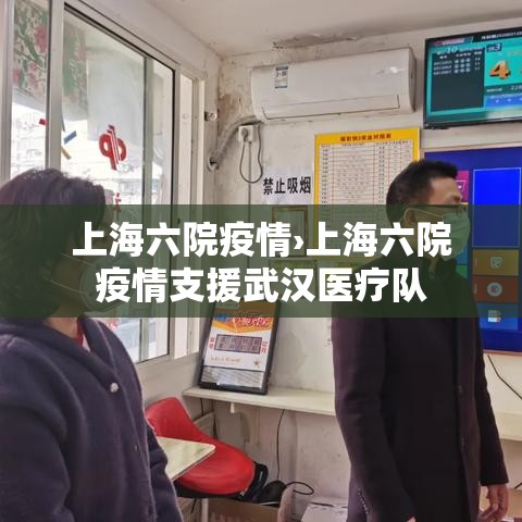 上海六院疫情›上海六院疫情支援武汉医疗队