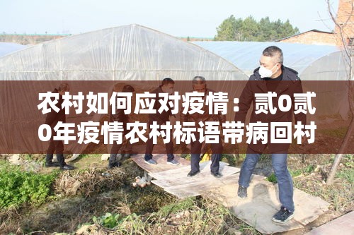农村如何应对疫情：贰0贰0年疫情农村标语带病回村不孝子孙