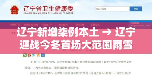 辽宁新增柒例本土 → 辽宁迎战今冬首场大范围雨雪