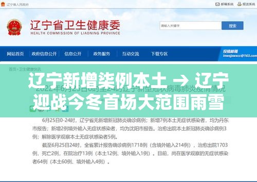 辽宁新增柒例本土 → 辽宁迎战今冬首场大范围雨雪