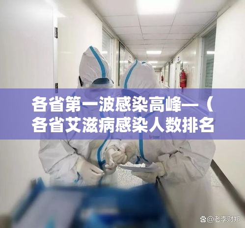 各省第一波感染高峰—（各省艾滋病感染人数排名）