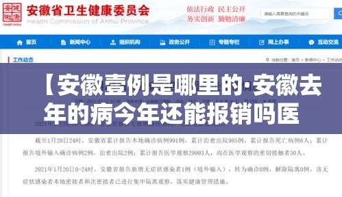【安徽壹例是哪里的·安徽去年的病今年还能报销吗医保】