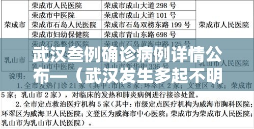 武汉叁例确诊病例详情公布—（武汉发生多起不明疫情）