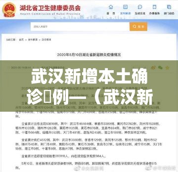 武汉新增本土确诊無例—（武汉新冠病毒）