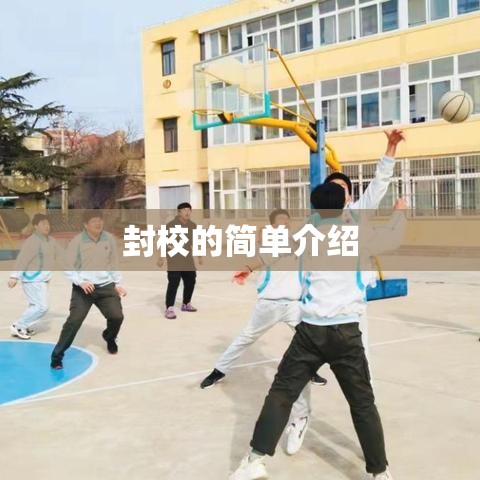 封校的简单介绍