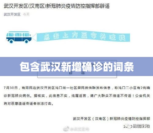 包含武汉新增确诊的词条