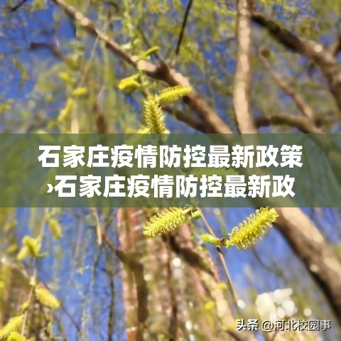 石家庄疫情防控最新政策›石家庄疫情防控最新政策公告