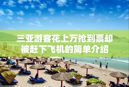 三亚游客花上万抢到票却被赶下飞机的简单介绍 三亚游客花上万抢到票却被赶下飞机的简单介绍