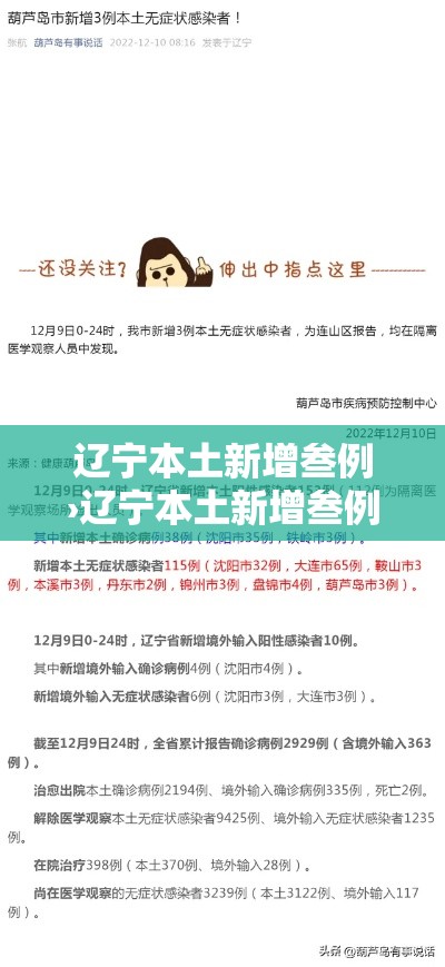 辽宁本土新增叁例›辽宁本土新增叁例病例