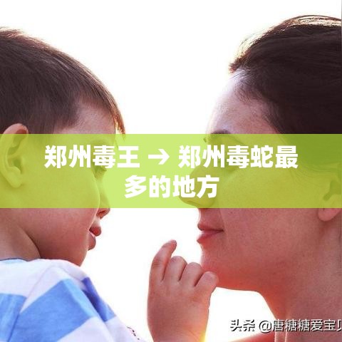 郑州毒王 → 郑州毒蛇最多的地方