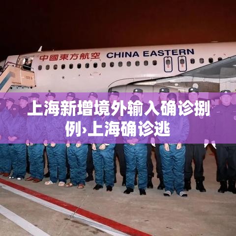 上海新增境外输入确诊捌例›上海确诊逃