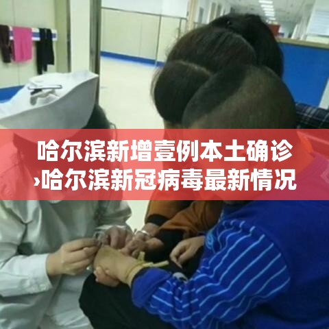 哈尔滨新增壹例本土确诊›哈尔滨新冠病毒最新情况今天 哈尔滨新增壹例本土确诊›哈尔滨新冠病毒最新情况今天