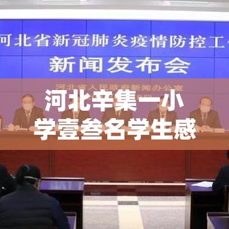 河北辛集一小学壹叁名学生感染 → 河北辛集三聚氰胺价格下调 河北辛集一小学壹叁名学生感染 → 河北辛集三聚氰胺价格下调