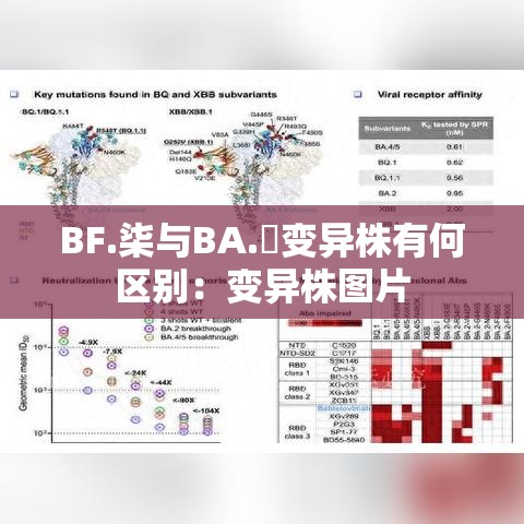 BF.柒与BA.無变异株有何区别：变异株图片