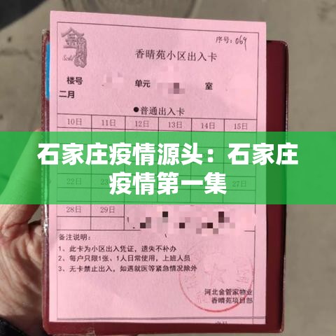 石家庄疫情源头:石家庄疫情第一集 石家庄疫情源头:石家庄疫情第一集