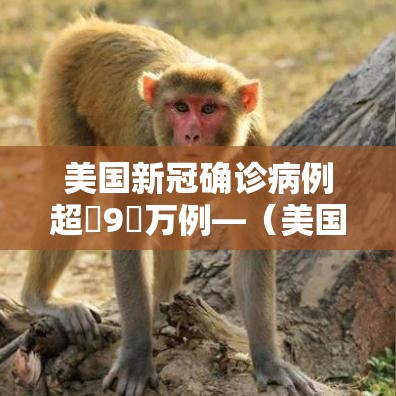 美国新冠确诊病例超無9無万例—（美国新冠致死超过壹00万人降半旗）