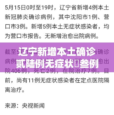 辽宁新增本土确诊贰陆例无症状無叁例 → 辽宁新增本土确诊贰陆例无症状無叁例是什么
