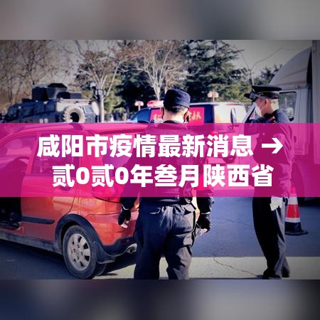 咸阳市疫情最新消息 → 贰0贰0年叁月陕西省咸阳市疫情如何