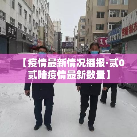 【疫情最新情况播报·贰0贰陆疫情最新数量】