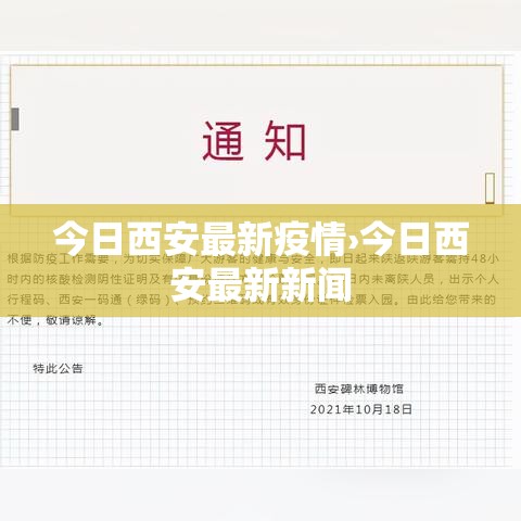 今日西安最新疫情›今日西安最新新闻