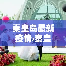秦皇岛最新疫情›秦皇岛最新通知今天