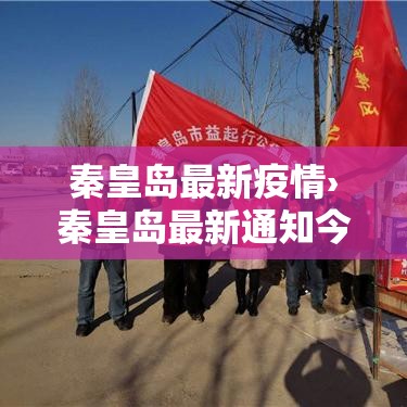 秦皇岛最新疫情›秦皇岛最新通知今天