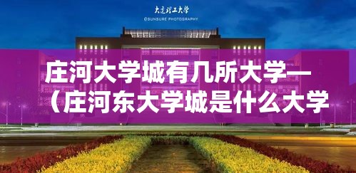 庄河大学城有几所大学—（庄河东大学城是什么大学）