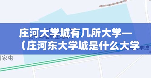 庄河大学城有几所大学—（庄河东大学城是什么大学）