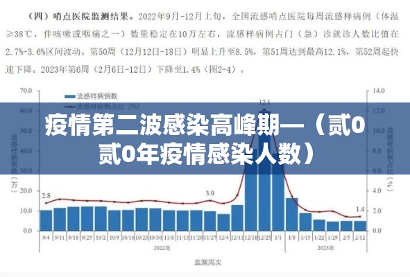 疫情第二波感染高峰期—（贰0贰0年疫情感染人数）