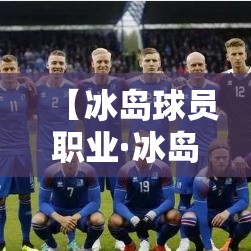 【冰岛球员职业·冰岛球员职业排名】