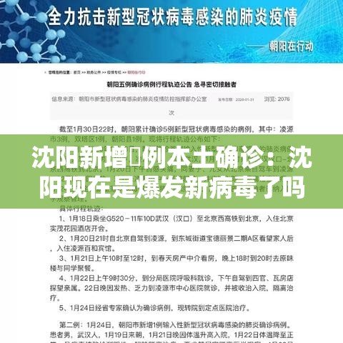 沈阳新增無例本土确诊：沈阳现在是爆发新病毒了吗