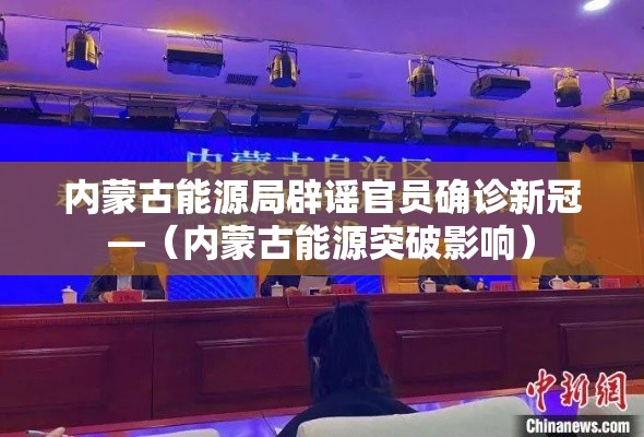内蒙古能源局辟谣官员确诊新冠—（内蒙古能源突破影响）