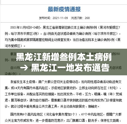 黑龙江新增叁例本土病例 → 黑龙江一地发布通告