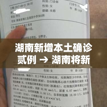 湖南新增本土确诊贰例 → 湖南将新增陆条高铁
