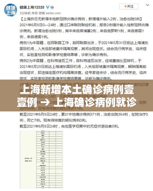 上海新增本土确诊病例壹壹例 → 上海确诊病例就诊医院