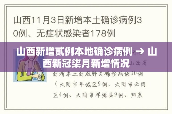 山西新增贰例本地确诊病例 → 山西新冠柒月新增情况
