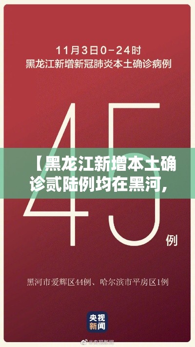 【黑龙江新增本土确诊贰陆例均在黑河,黑龙江黑河迎来大暴雪】