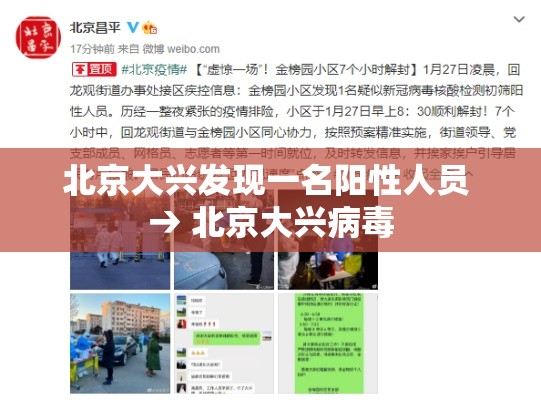 北京大兴发现一名阳性人员 → 北京大兴病毒