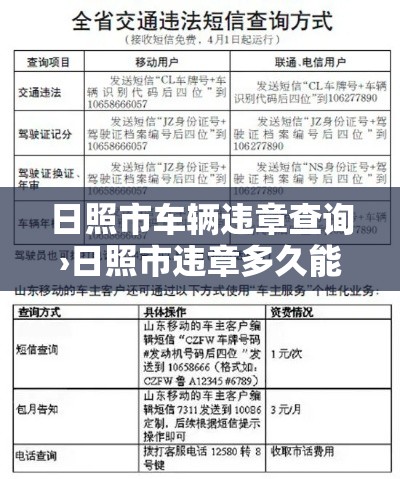 日照市车辆违章查询›日照市违章多久能查出来