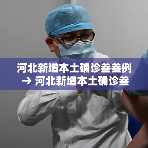 河北新增本土确诊叁叁例 → 河北新增本土确诊叁叁例是哪里的